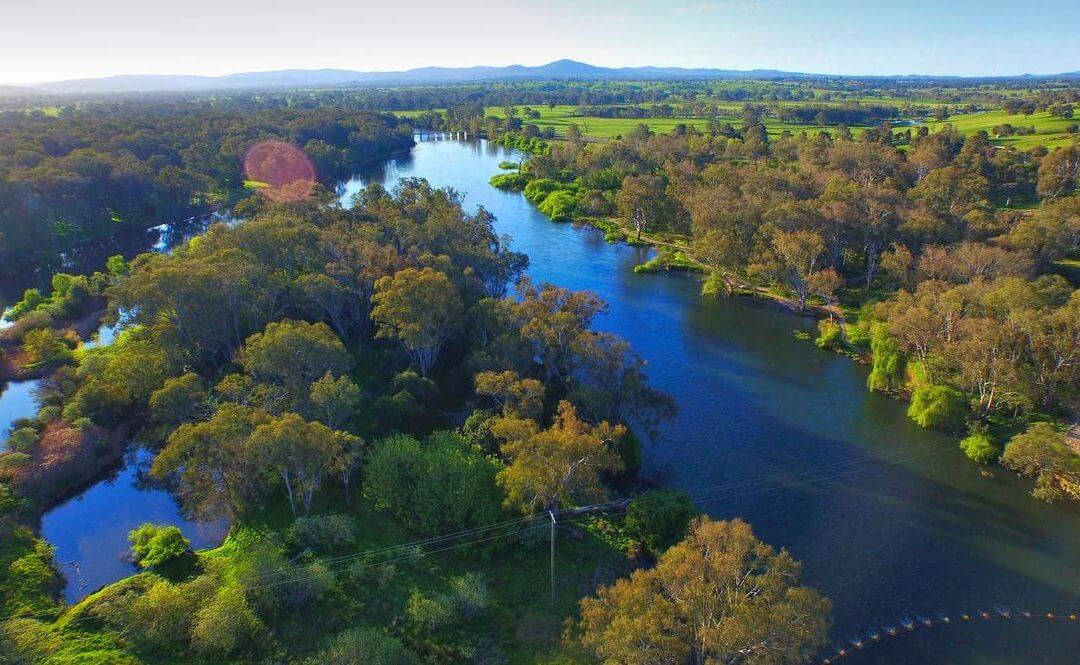 albury pet friendly accommodation