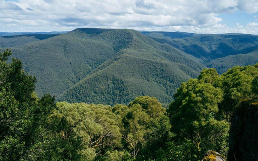 barrington tops pet friendly accommodation