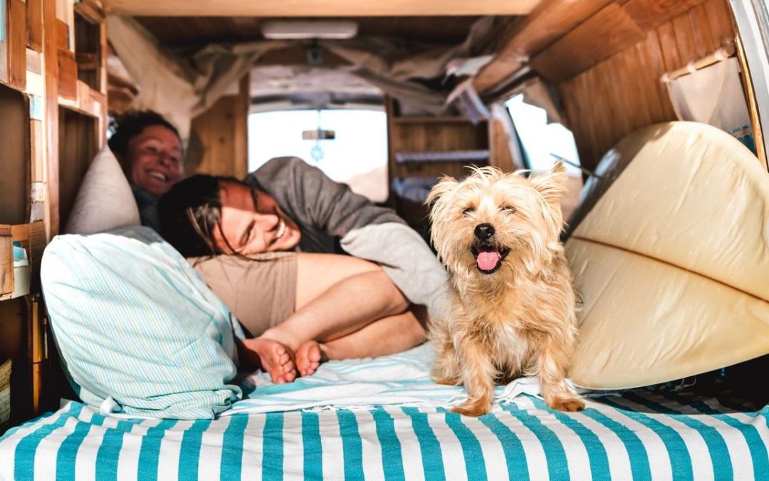 Caravanning with Dogs in Australia: The Ultimate Guide