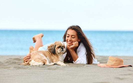 Dog Beaches Melbourne: Top 9 Spots