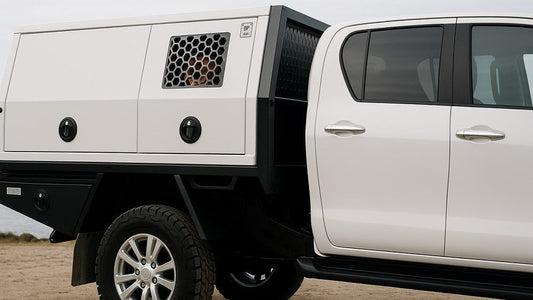 Dog Box Canopy: The Comprehensive Guide