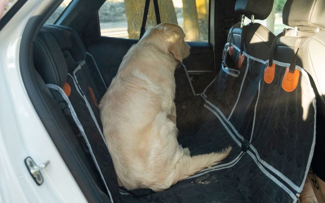 The Ultimate Guide to Dog Car Seat Covers in Australia