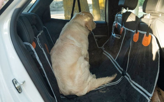 The Ultimate Guide to Dog Car Seat Covers in Australia
