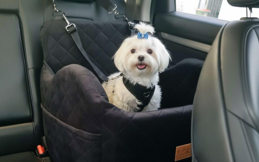 The Ultimate Guide to Dog Car Seats: Ensuring Your Pup’s Safety & Comfort on Australian Roads