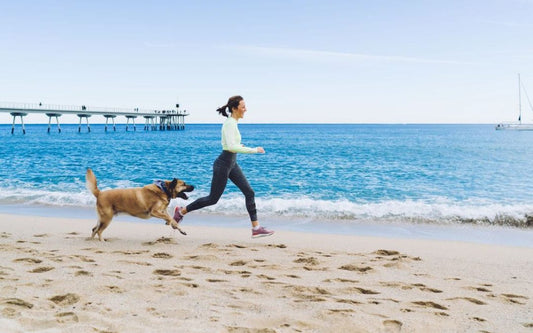 dog friendly beaches qld