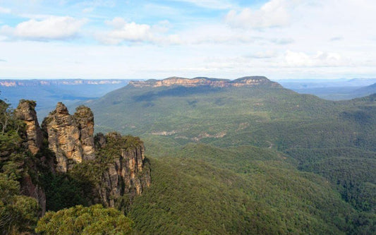 dog friendly camping blue mountains