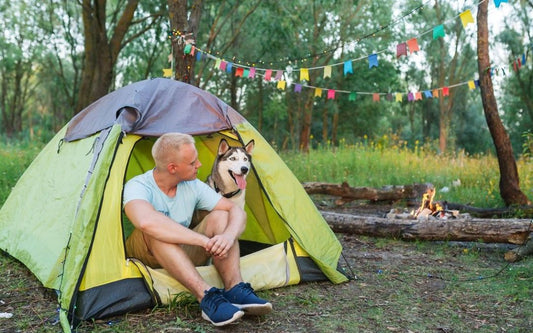 dog friendly camping mornington peninsula