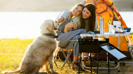 dog friendly camping nsw
