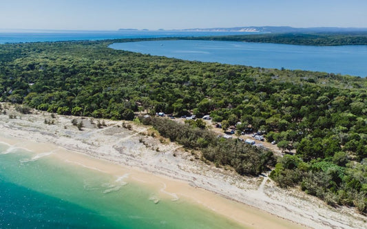 dog friendly camping rainbow beach
