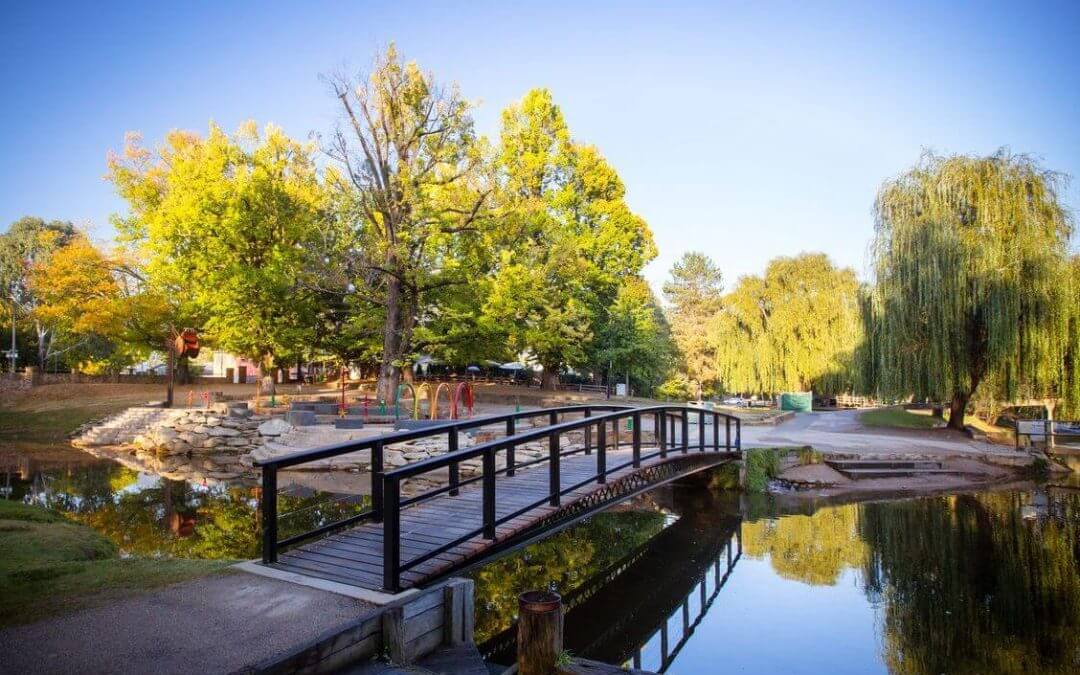 dog friendly caravan parks bright victoria