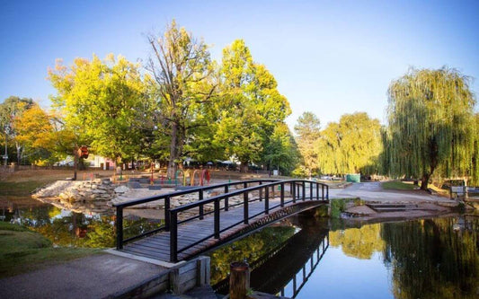 dog friendly caravan parks bright victoria
