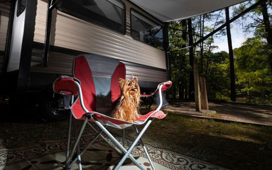 dog friendly caravan parks gold coast