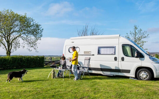 dog friendly caravan parks victoria