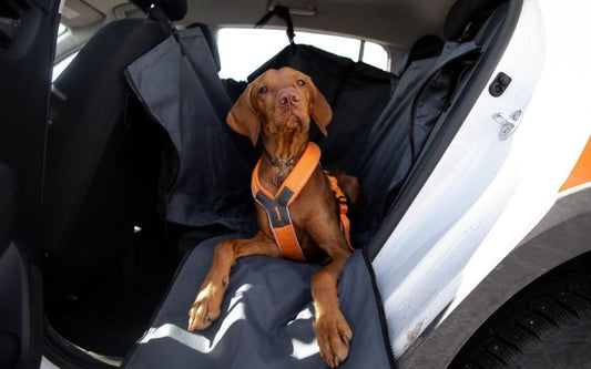 How to Clean a Dog Car Seat Cover