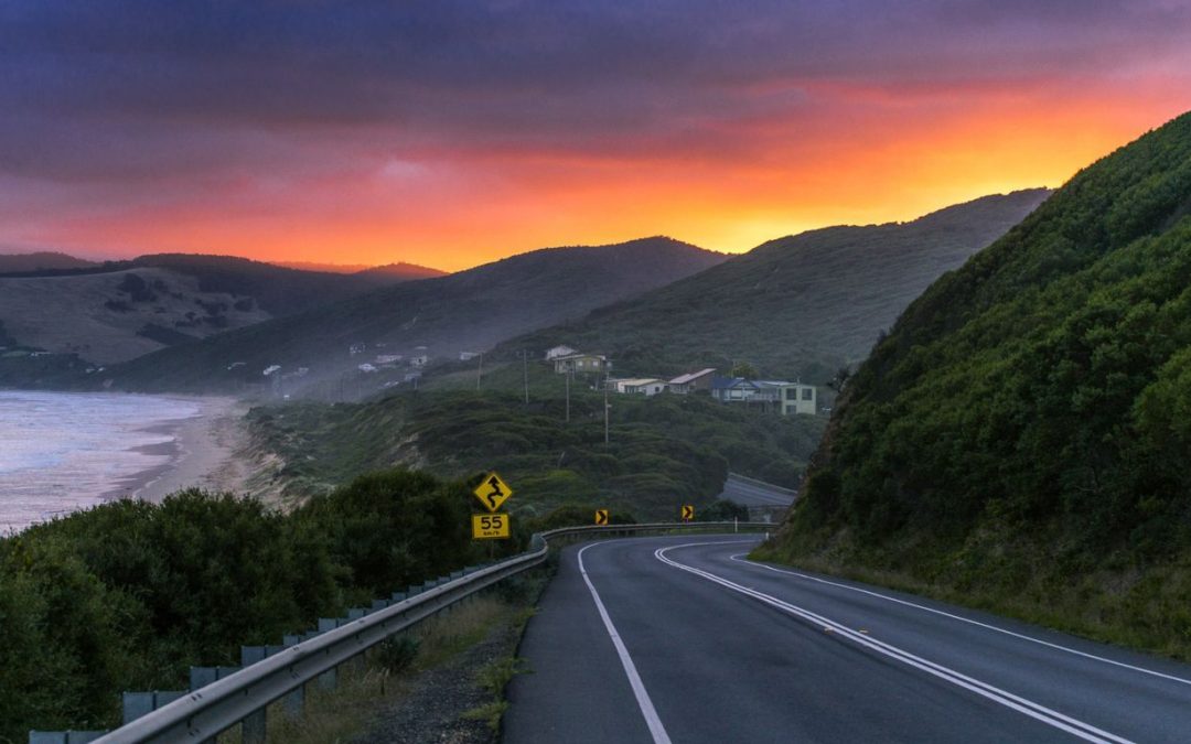 pet friendly accommodation lorne
