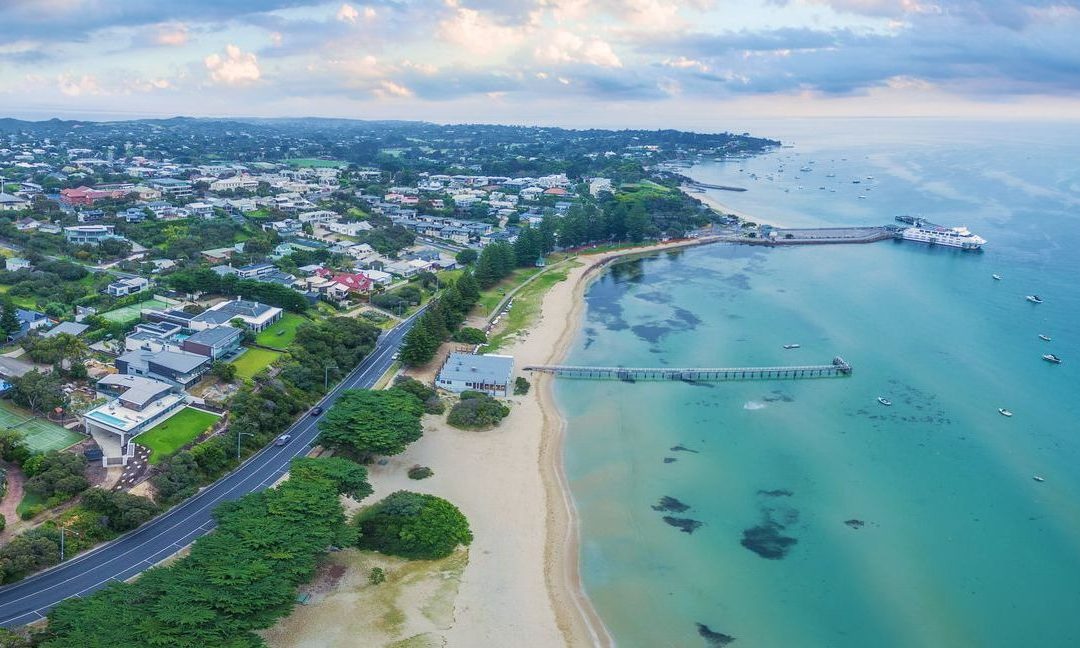 pet friendly accommodation mornington peninsula