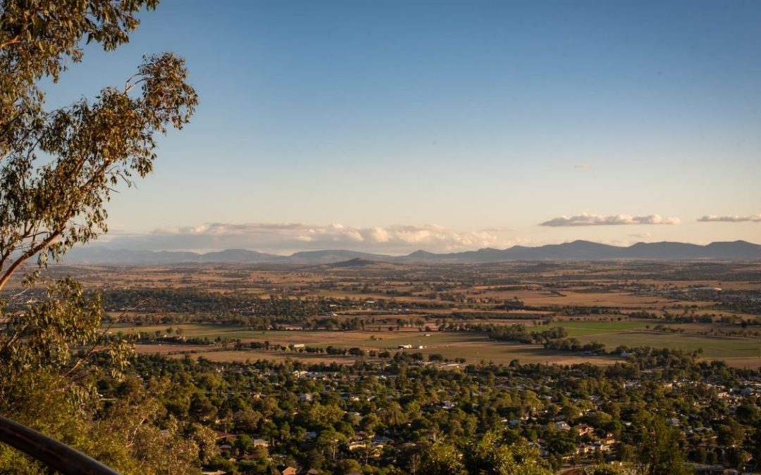 pet friendly caravan parks tamworth