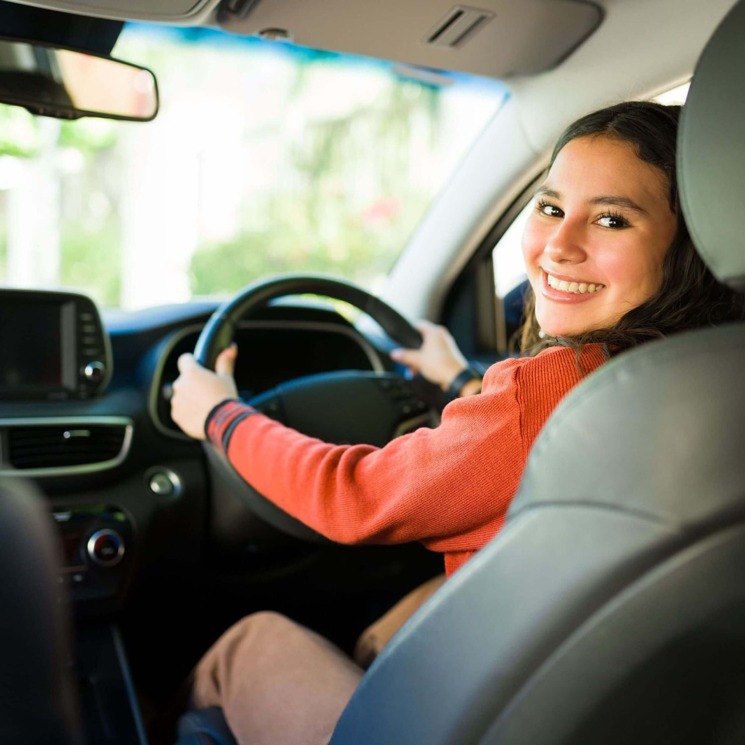 dog car seat benefits with driver