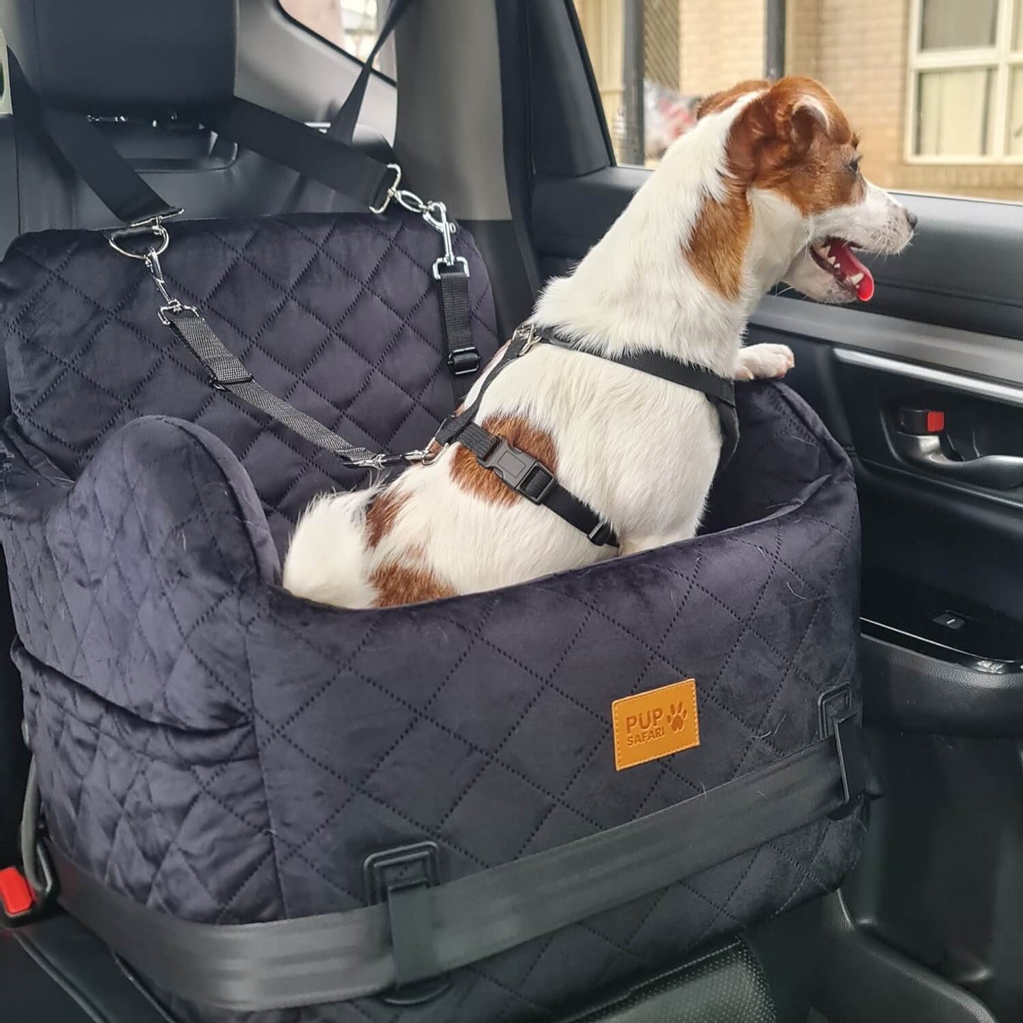 pup safari dog car booster seat 100