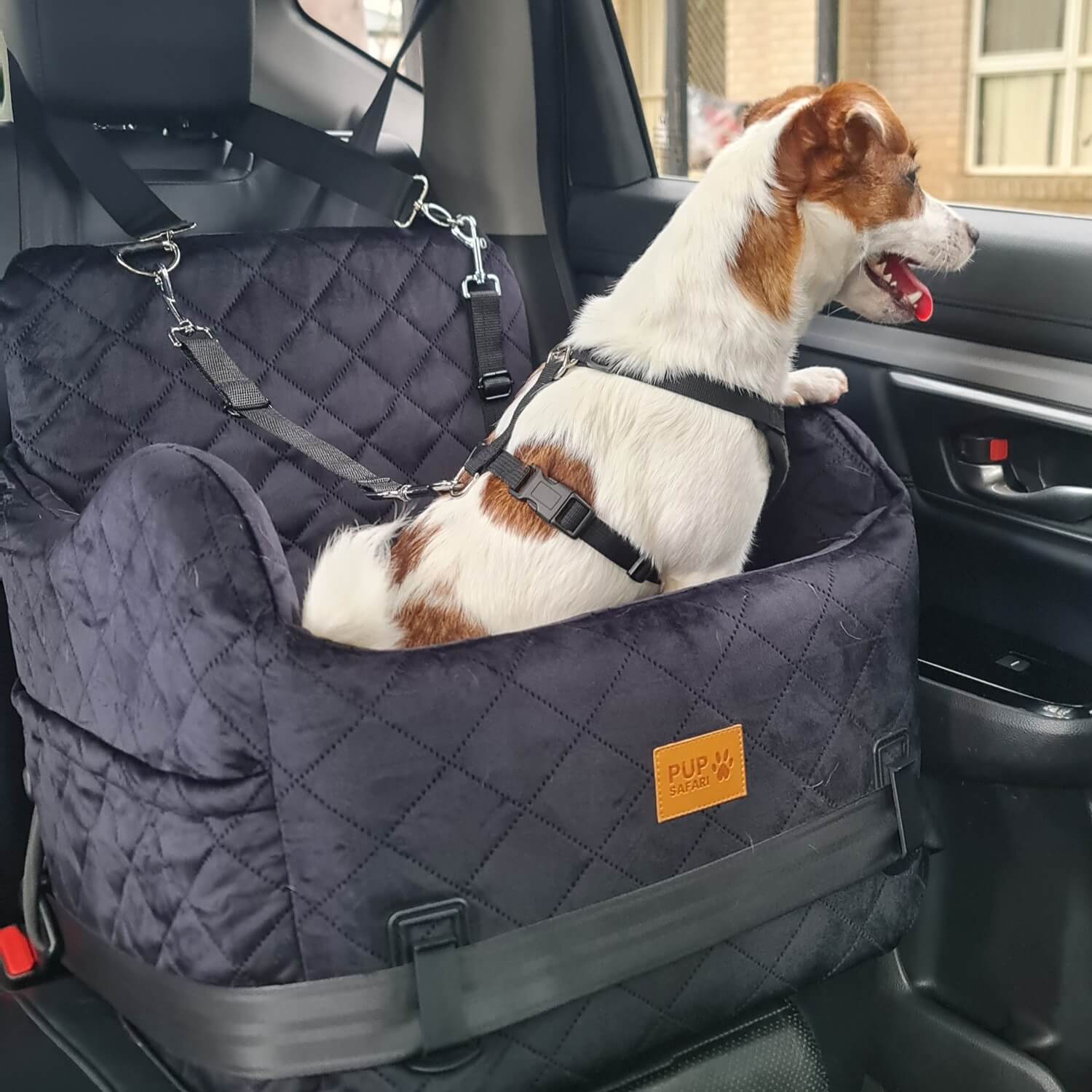 pup safari dog car booster seat 100