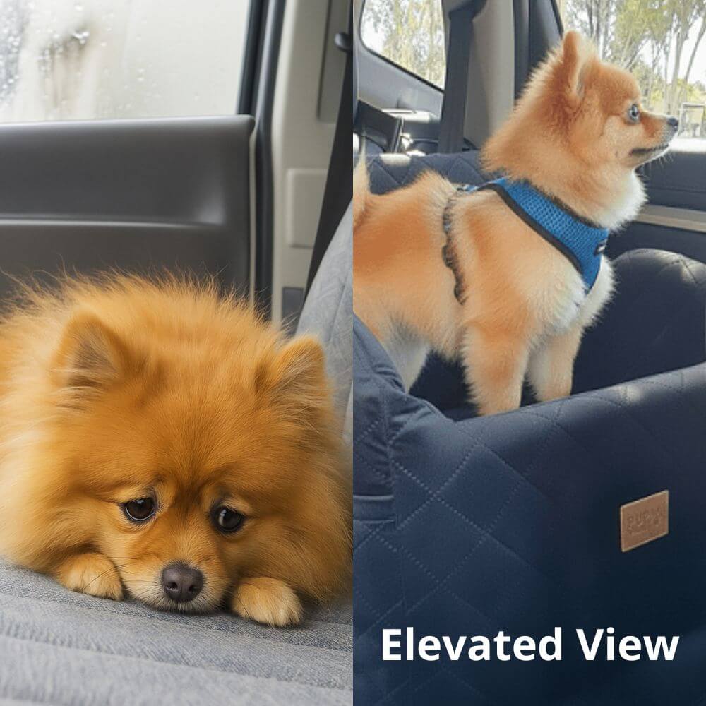 dog car seat elevated view