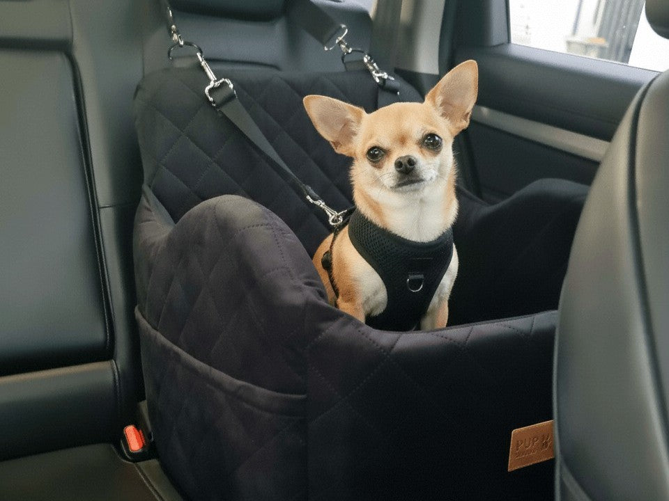dog car seat small dog