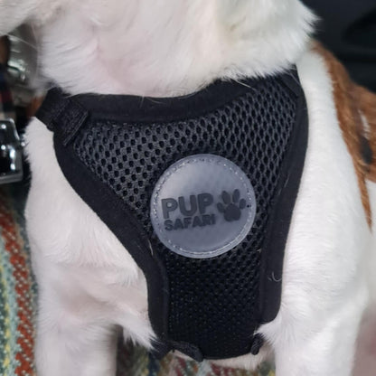 pup safari dog harness 3